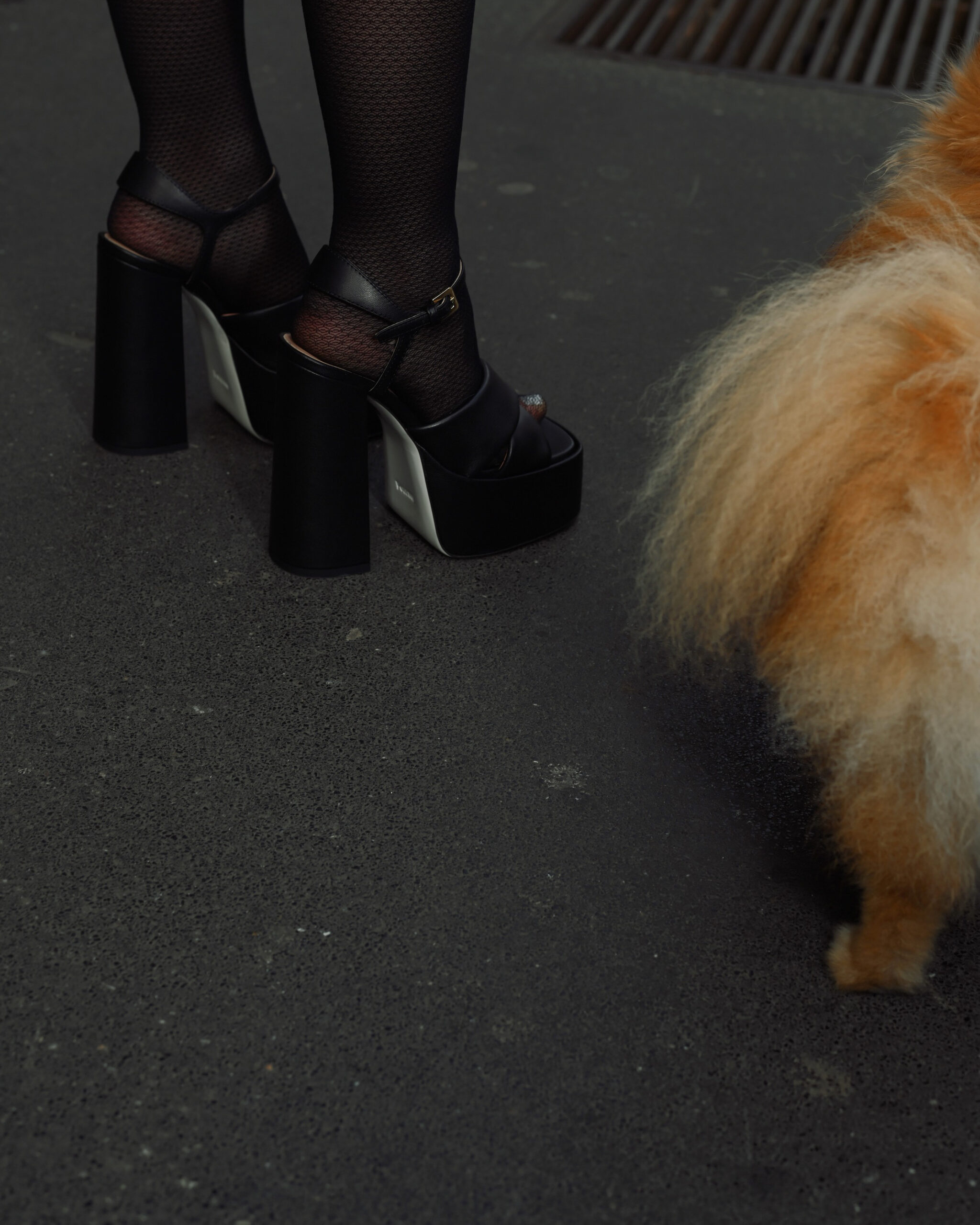 Fashion (6)